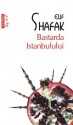 Bastarda Istanbulului - Elif Shafak, Ada Tanase