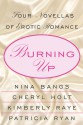 Burning Up: Four Novellas of Erotic Romance - Nina Bangs, Cheryl Holt, Patricia Ryan, Kimberly Raye