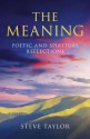 The Meaning - Steve Taylor