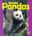 Giant Pandas - Michelle Levine