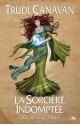 La sorcière indomptée (L'Age des Cinq, #2) - Trudi Canavan, Isabelle Troin