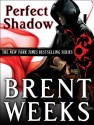 Perfect Shadow (Night Angel, #0.5) - Brent Weeks