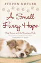 Small Furry Hope: Dog Rescue and the Meaning of Life - Steven Kotler