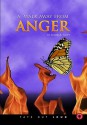 A Walk Away from Anger - Elaine Scott