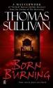 Born Burning - Thomas Sullivan