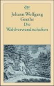 Wahlverwandtschaften - Johann Wolfgang von Goethe