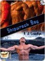 Shipwreck Bay - A.J. Llewellyn