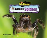 Jumping Spiders - Meish Goldish