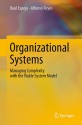 Organizational Systems: Managing Complexity with the Viable System Model - Raul Espejo, Alfonso Reyes