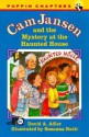 Cam Jansen and the Mystery at the Haunted House (#13) - David A. Adler