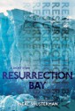 Resurrection Bay (HarperTeen Impulse) - Neal Shusterman