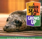 A Harbor Seal Pup Grows Up - Joan Hewett