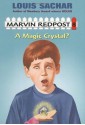 A Magic Crystal? (A Stepping Stone Book(TM)) - Louis Sachar, Amy Wummer