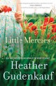 Little Mercies - Heather Gudenkauf