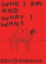 Who I Am and What I Want - David Shrigley