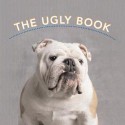 The Ugly Book - Andrew Davies