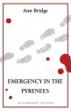 Emergency in the Pyrenees - Ann Bridge