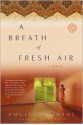 A Breath of Fresh Air - Amulya Malladi