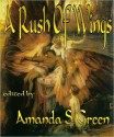 A Rush of Wings - Sarah A. Hoyt, Robert A. Hoyt, Taylor M. Lunsford, Kate Paulk, Chris Kelsey, Chris G. McMahon, Robert Cruze Jr., Dave Freer, Amanda S. Green