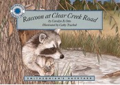 Raccoon at Clear Creek Road - Carolyn B. Otto, Cathy Trachok