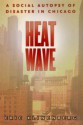 Heat Wave: A Social Autopsy of Disaster in Chicago - Eric Klinenberg