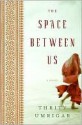 The Space Between Us - Thrity Umrigar