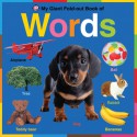 My Giant Fold-Out Book of Words (Board Book) - Roger Priddy