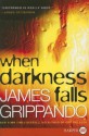 When Darkness Falls - James Grippando