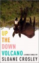 Up the Down Volcano - Sloane Crosley