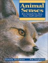 Animal Senses: How Animals See, Hear, Taste, Smell and Feel - Etta Kaner, Pat Stephens