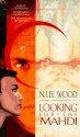 Looking for the Mahdi - N. Lee Wood