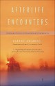 Afterlife Encounters: Ordinary People, Extraordinary Experiences - Dianne Arcangel, Gary E. Schwartz