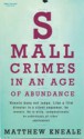 Small Crimes In An Age Of Abundance - Matthew Kneale