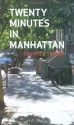 Twenty Minutes in Manhattan - Michael Sorkin