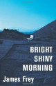 Bright Shiny Morning - James Frey