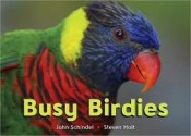 Busy Birdies - John Schindel, Steven Holt