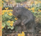 Baby Porcupine - Aubrey Lang, Wayne Lynch