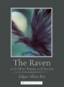 The Raven: And Other Poems and Stories - Edgar Allan Poe, Philip Pullman