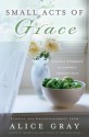 Small Acts of Grace: You Can Make a Difference in Everday, Ordinary Ways - Alice Gray