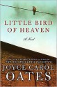 Little Bird of Heaven - Joyce Carol Oates