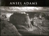 Ansel Adams In The National Archives - Sandra Forty