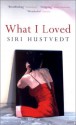 What I Loved - Siri Hustvedt