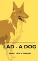 Lad - A Dog - Albert Payson Terhune