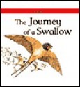 The Journey of a Swallow - Carolyn Scrace, David Salariya