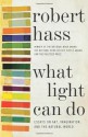 What Light Can Do: Essays on Art, Imagination, and the Natural World - Robert Hass