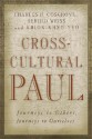 Cross-Cultural Paul: Journeys to Others, Journeys to Ourselves - Charles H. Cosgrove, Herold Weiss, Khiok-Khng Yeo