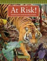 At Risk!: Reading and Understanding Graphs - Dawn McMillan