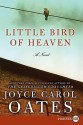 Little Bird of Heaven LP: A Novel - Joyce Carol Oates