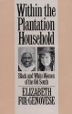 Within the Plantation Household (Gender and American Culture) - Elizabeth Fox-Genovese, Author