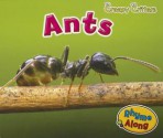 Ants - Rebecca Rissman